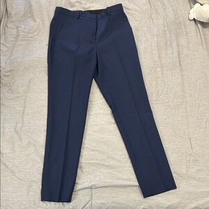 Theory size 2 treeca style pants